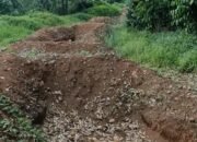 Sabotase Jalan Hauling: PT LPPBJ Dilanda Premanisme, Operasi Tambang Lumpuh