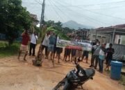 Jalan Desa Mangkol Memprihatinkan, Warga Tanam Pisang di Tengah Jalan Sebagai Bentuk Protes
